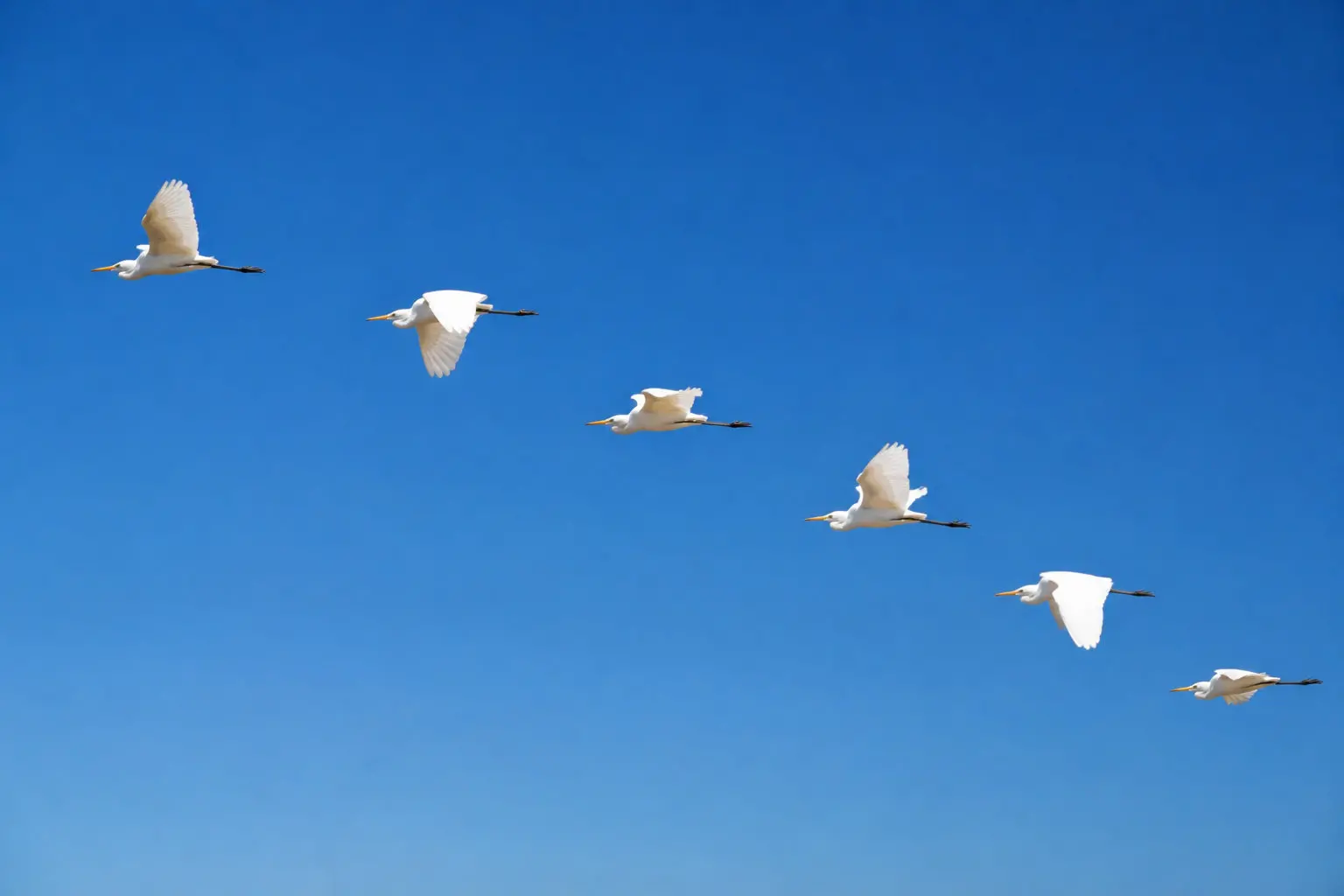 Comment valider l'authenticité des messages de votre intuition ?